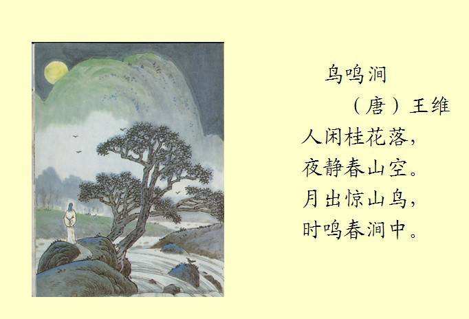 首次！内蒙古发现新纪录植物“北京忍冬”和“单花韭”